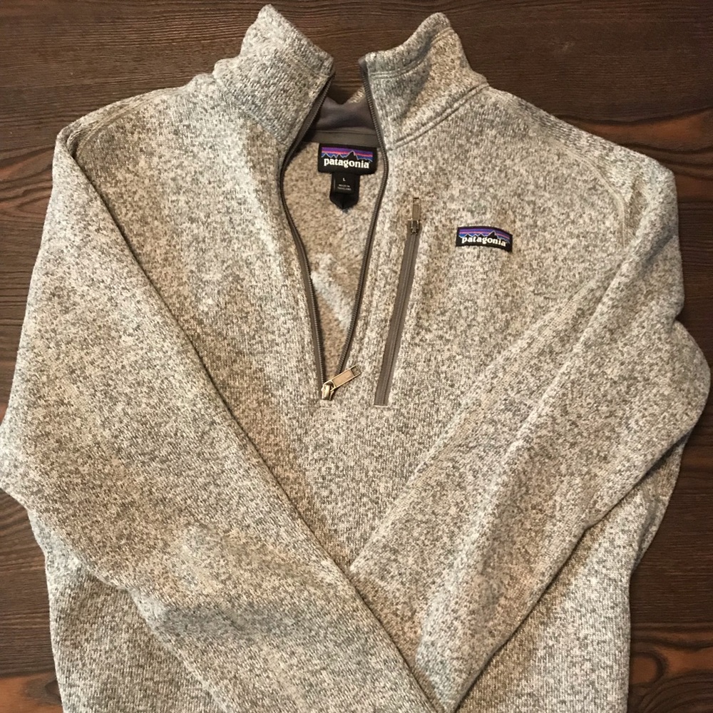 Patagonia Men’s L Pullover/Jacket